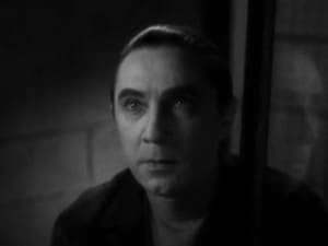 black cat 1934 Bela Lugosi